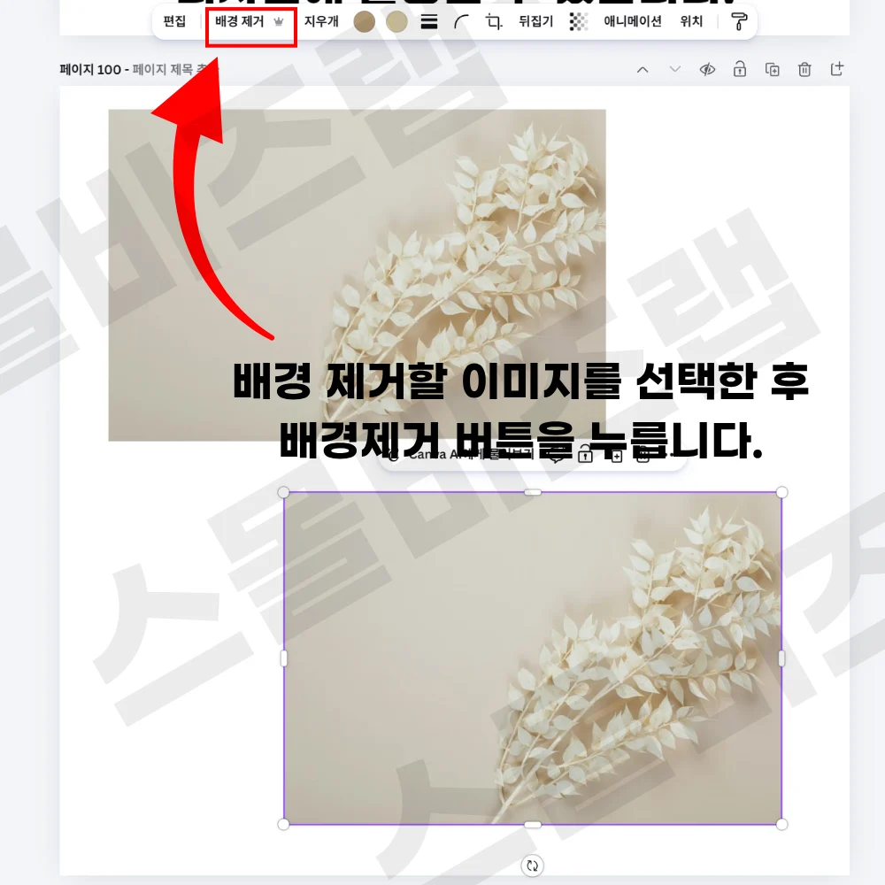 캔바 배경제거 기능 1